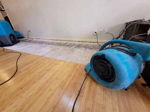 Professional Water Removal technician working in De Graff, OH